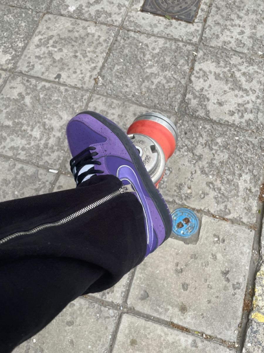 Nike x Concepts SB Dunk Low ‘Purple Lobster’ photo review