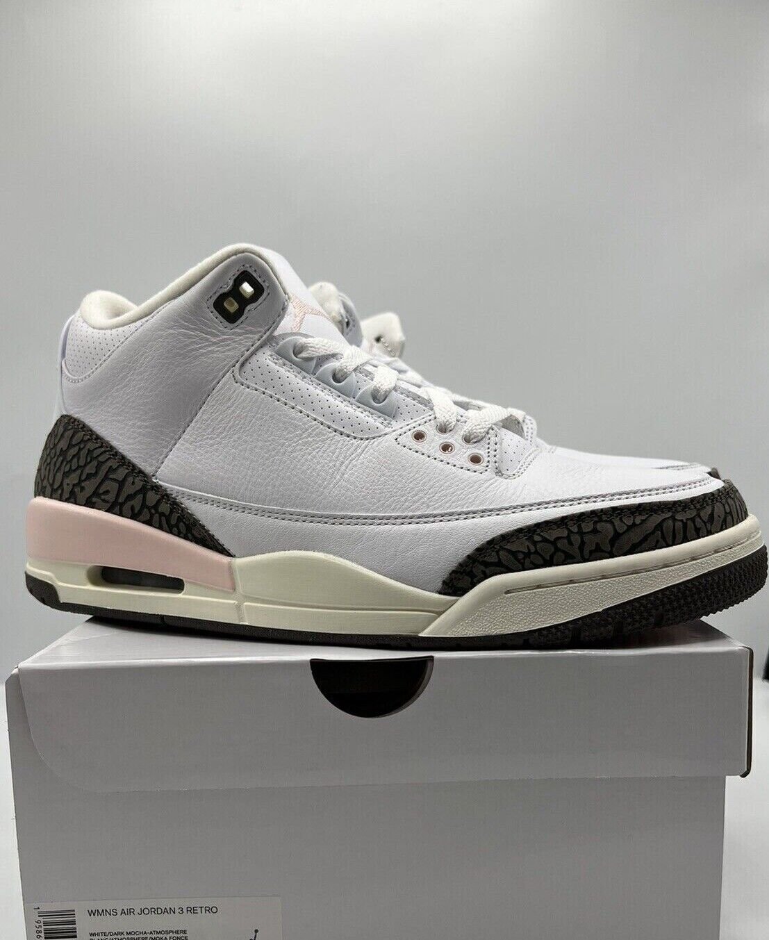 Air Jordan 3 Retro ‘Neapolitan’ photo review