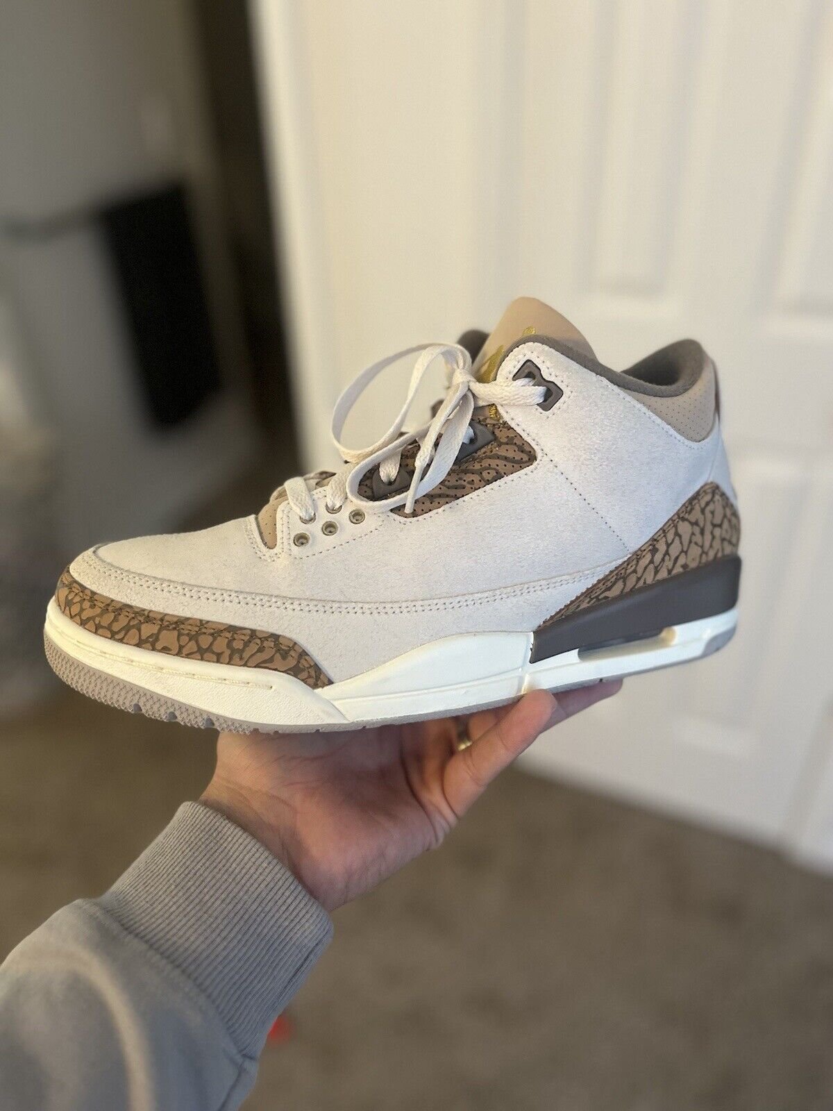 Air Jordan 3 Retro ‘Palomino’ photo review