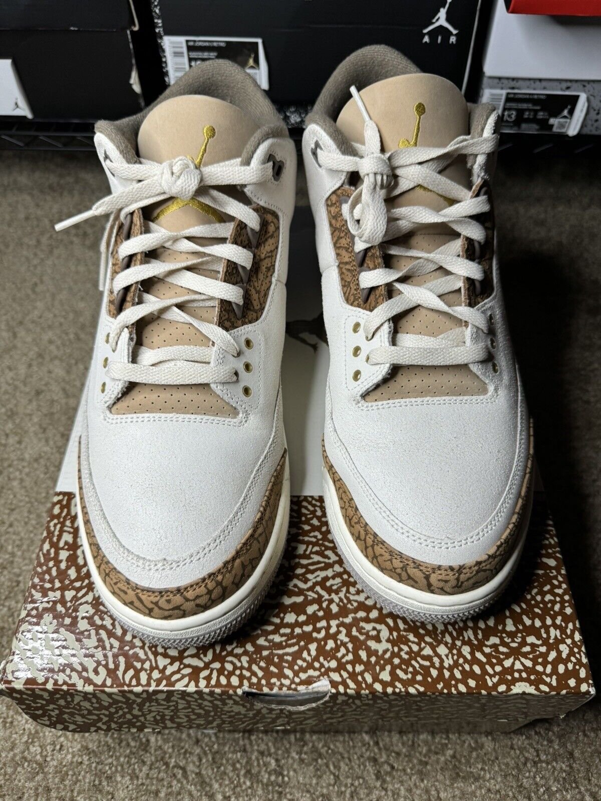 Air Jordan 3 Retro ‘Palomino’ photo review