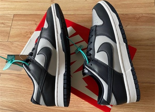 Nike Dunk Low ‘Georgetown’ photo review