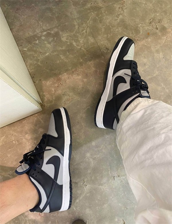 Nike Dunk Low ‘Georgetown’ photo review