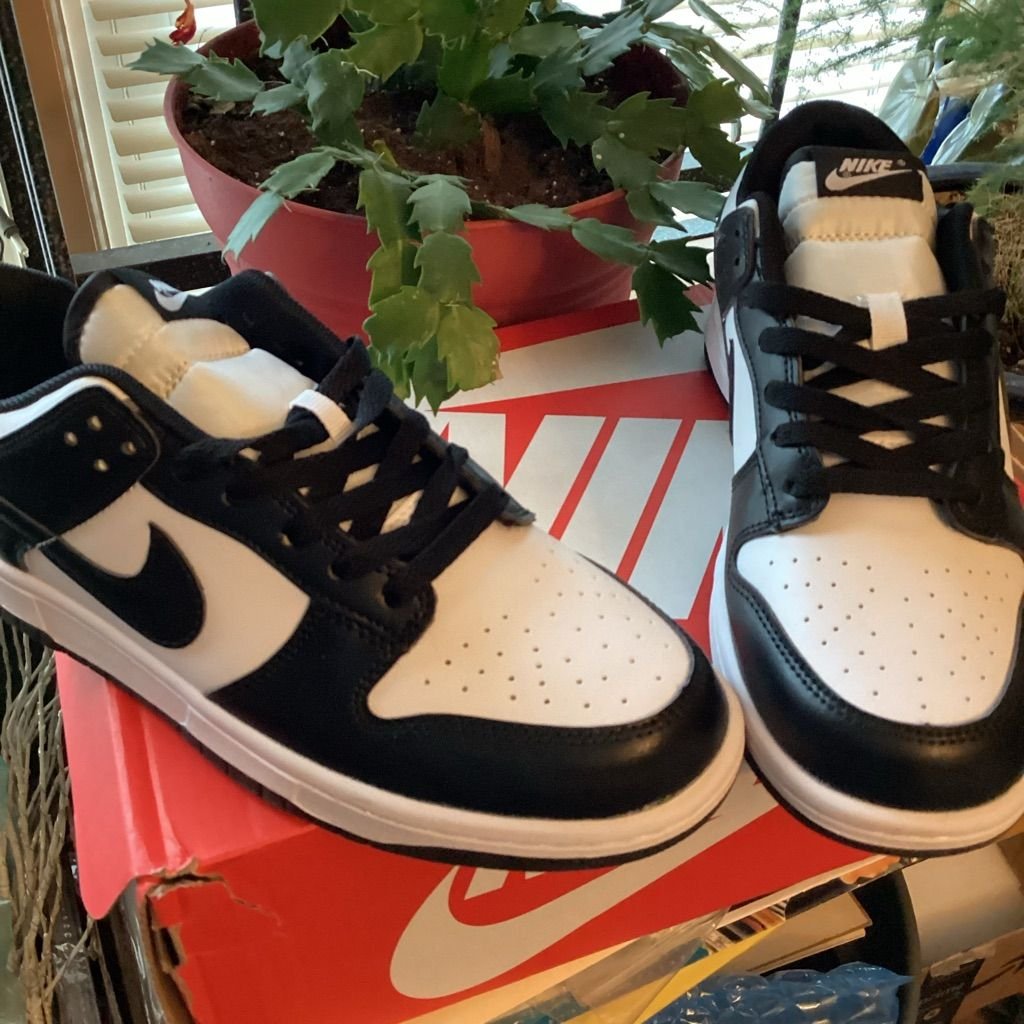 Nike Dunk Low ‘Panda Black White’ photo review